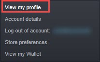 view_profile_on_steam