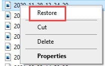 restore_files_from_recycle_bin