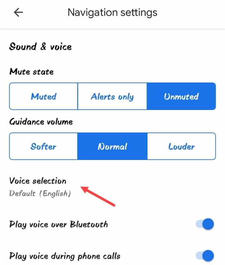 voice_selection_on_google_maps