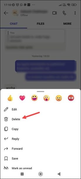 delete-chat-option