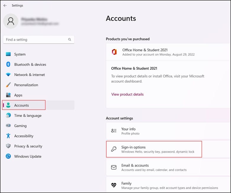 accounts-sign-in-options